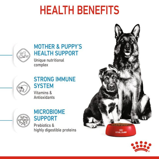 Royal Canin Maxi Starter Mother & BabyDog – Hrană Uscată pentru Femele Gestante, Lactante și Pui de Câine de Talie Mare – 15 kg